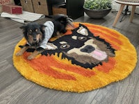 a dog laying on a round rug in front of a fireplace